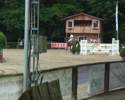 jumper Acolito (Westphalian, 2008, from Acodetto I)