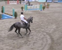 jumper Cento 42 (Mecklenburg, 2008, from D'Olympic)