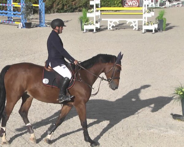 Reitturnier Worms-Pfeddersheim / Reitsportanlage Wittemer 2020