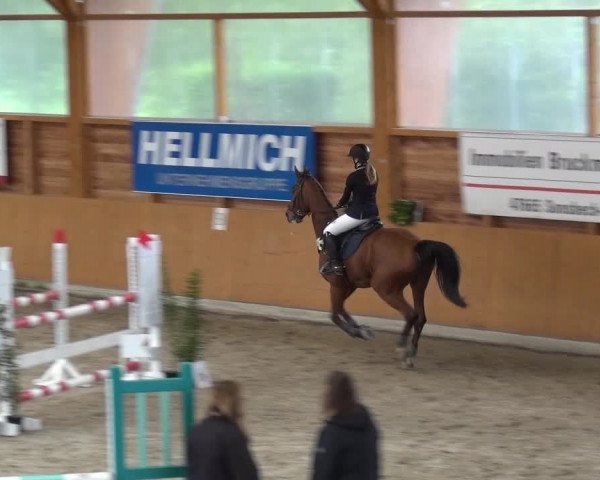 Reitturnier Xanten - Reitanlage Miss 2020