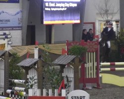 jumper Checker 46 (Holsteiner, 2009, from Contender)