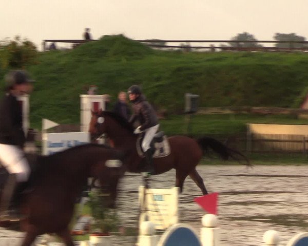 Reitturnier Schülp / Rendsburg 2020