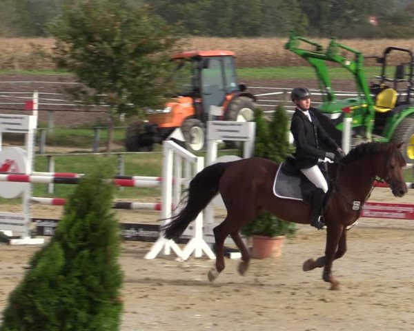 Reitturnier Altenberge 2020