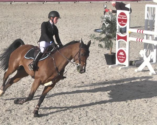 Reitturnier Worms-Pfeddersheim / Reitsportanlage Wittemer 2020