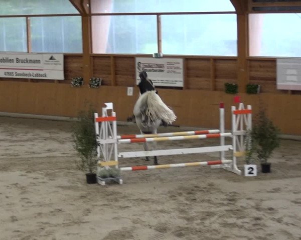 Reitturnier Xanten - Reitanlage Miss 2020