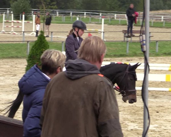 Reitturnier Altenberge 2020