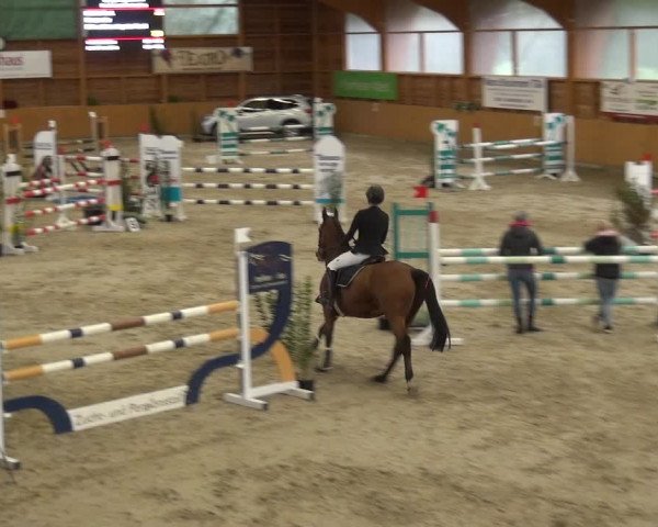 Reitturnier Xanten - Reitanlage Miss 2020