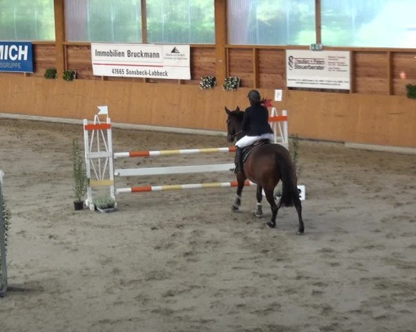 Reitturnier Xanten - Reitanlage Miss 2020