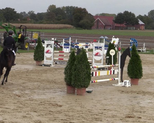 Reitturnier Altenberge 2020