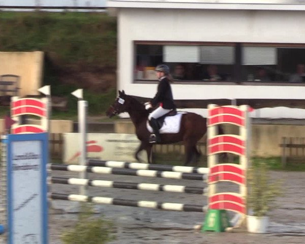 Reitturnier Schülp / Rendsburg 2020