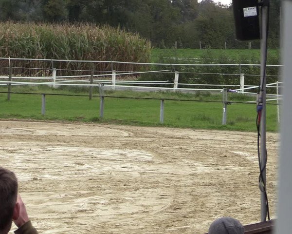 Reitturnier Altenberge 2020