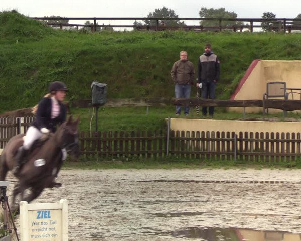 Reitturnier Schülp / Rendsburg 2020