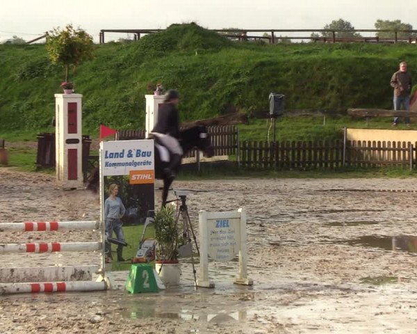 Reitturnier Schülp / Rendsburg 2020