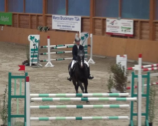 Reitturnier Xanten - Reitanlage Miss 2020