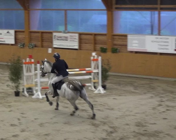 Reitturnier Xanten - Reitanlage Miss 2020