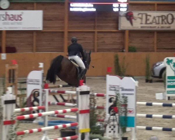 Reitturnier Xanten - Reitanlage Miss 2020
