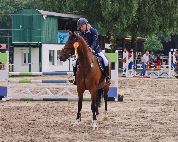 Springpferd Bernadette W 3 (Holsteiner, 2016, von Balous Bellini)
