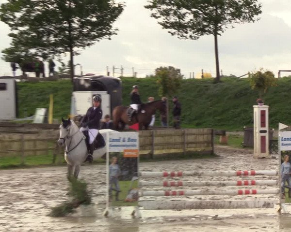 Reitturnier Schülp / Rendsburg 2020