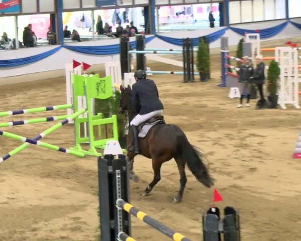 Reitturnier Buchs 2021