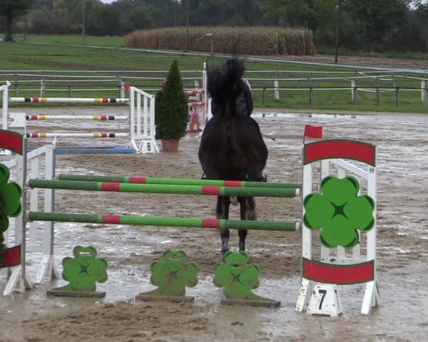 Reitturnier Altenberge 2020