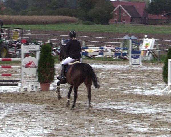 Reitturnier Altenberge 2020