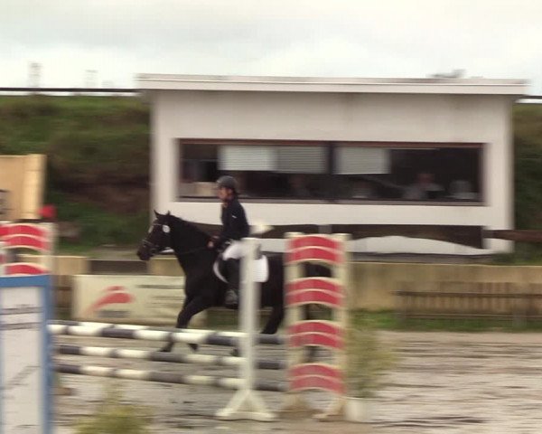 Reitturnier Schülp / Rendsburg 2020