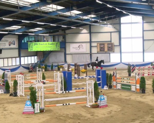 Reitturnier Buchs 2021