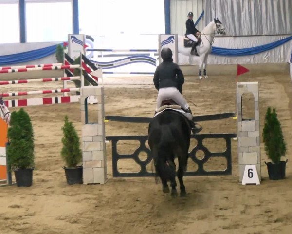 Reitturnier Buchs 2021