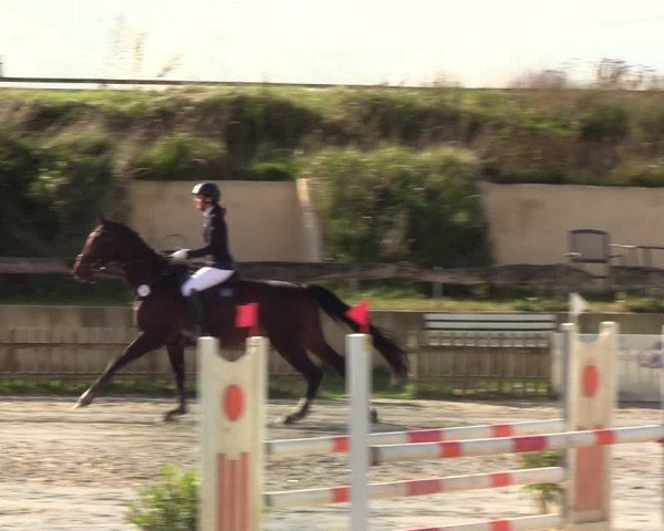Reitturnier Schülp / Rendsburg 2020