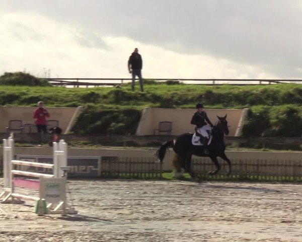Reitturnier Schülp / Rendsburg 2020