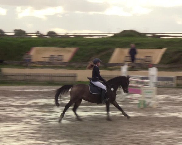 Reitturnier Schülp / Rendsburg 2020
