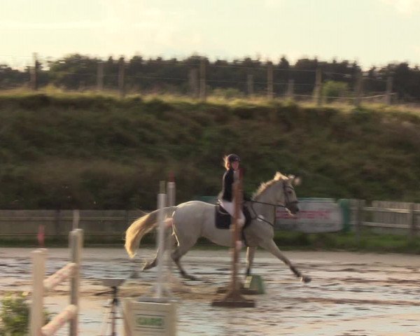 Reitturnier Schülp / Rendsburg 2020