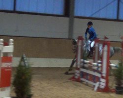 Jumper The Look (Oldenburger Jumping Horse, 2009, from Tangelo van de Zuuthoeve)