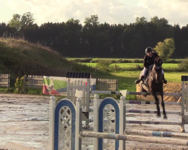 Reitturnier Schülp / Rendsburg 2020