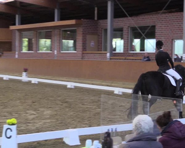 Reitturnier Seppenrade 2020