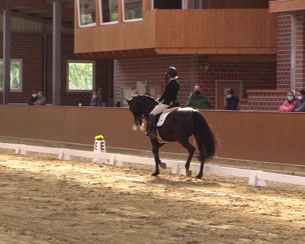 Reitturnier Seppenrade 2020