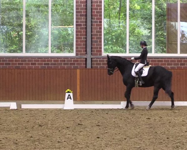 Reitturnier Seppenrade 2020