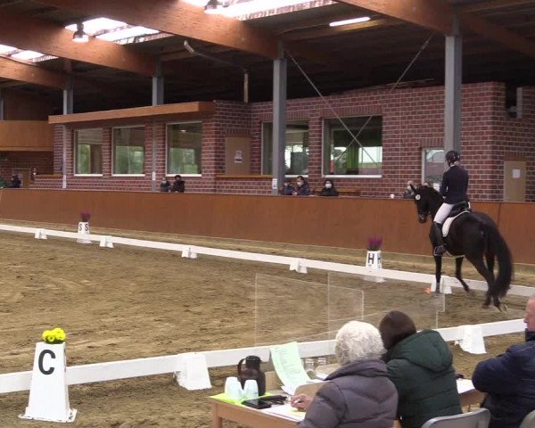 Reitturnier Seppenrade 2020