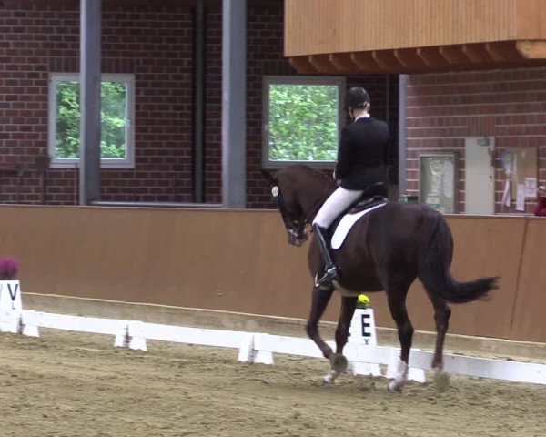 Reitturnier Seppenrade 2020