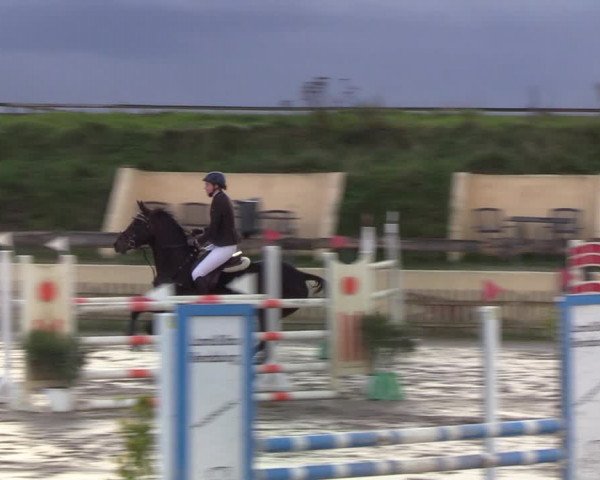 Reitturnier Schülp / Rendsburg 2020