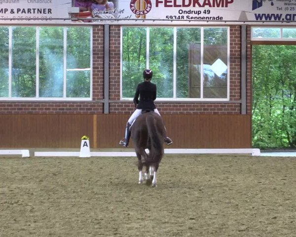 Reitturnier Seppenrade 2020