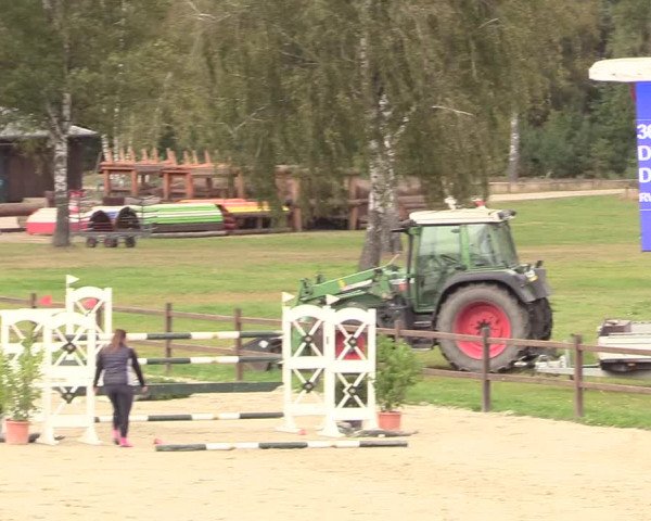 Reitturnier Westergellersen 2020