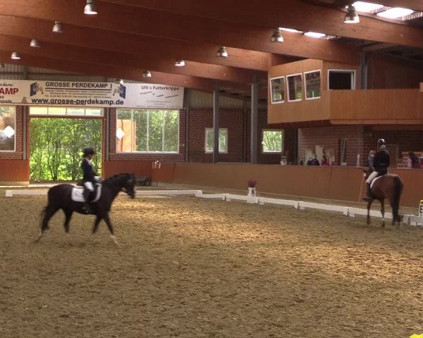 Reitturnier Seppenrade 2020