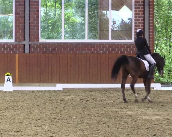 Reitturnier Seppenrade 2020