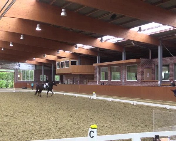 Reitturnier Seppenrade 2020