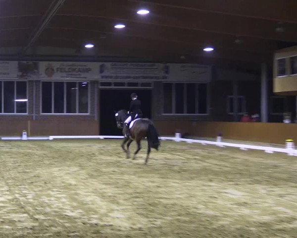 Reitturnier Seppenrade 2020