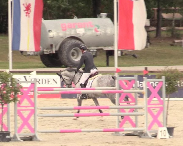 Reitturnier Westergellersen 2020
