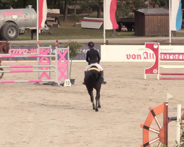 Reitturnier Westergellersen 2020