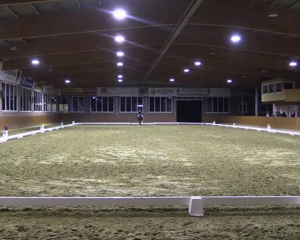 Reitturnier Seppenrade 2020