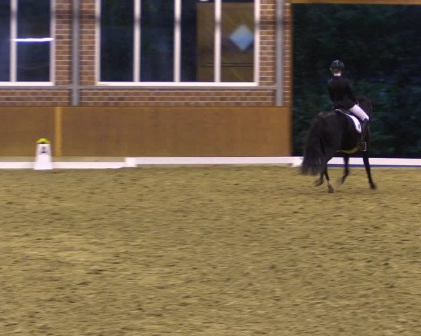 Reitturnier Seppenrade 2020